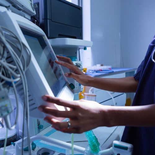 adobestock 278890190 scaled r63p35roz5d6fsibmy9id7y3k937ye0xhrohd1693c